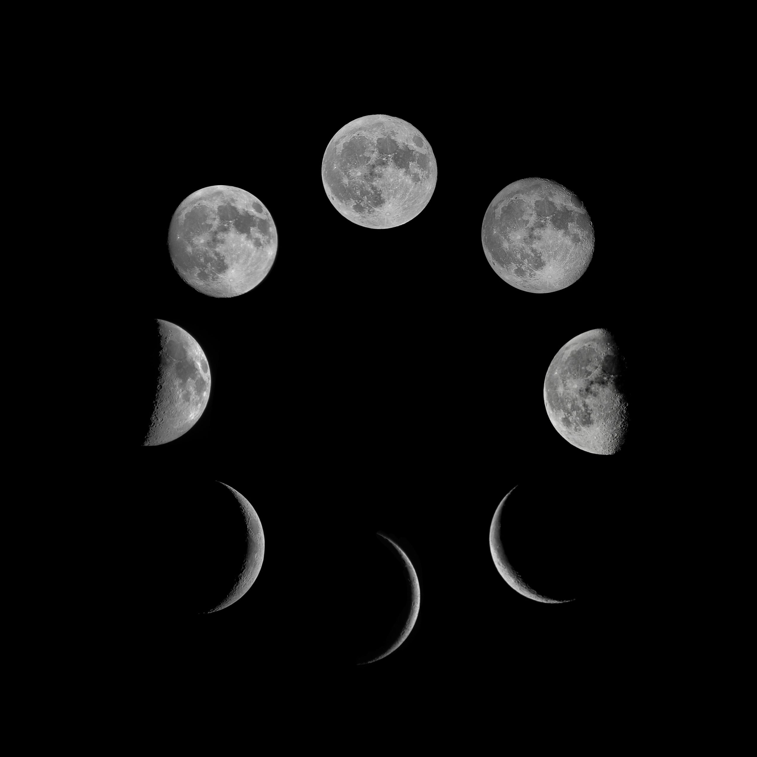 Fases Lunares